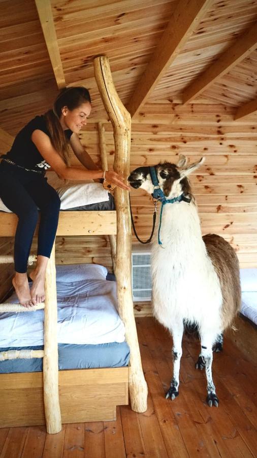 Trebivlice Cozy Wood Hut On The Farm 빌라 외부 사진